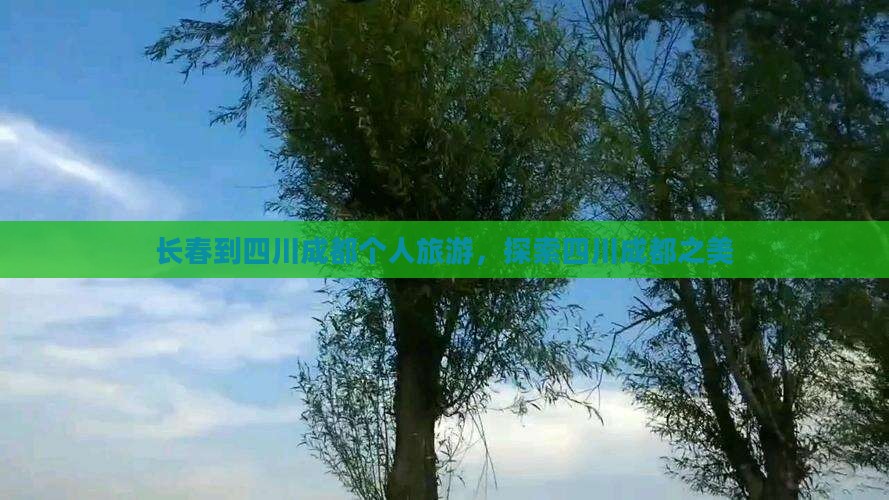 长春到四川成都个人游