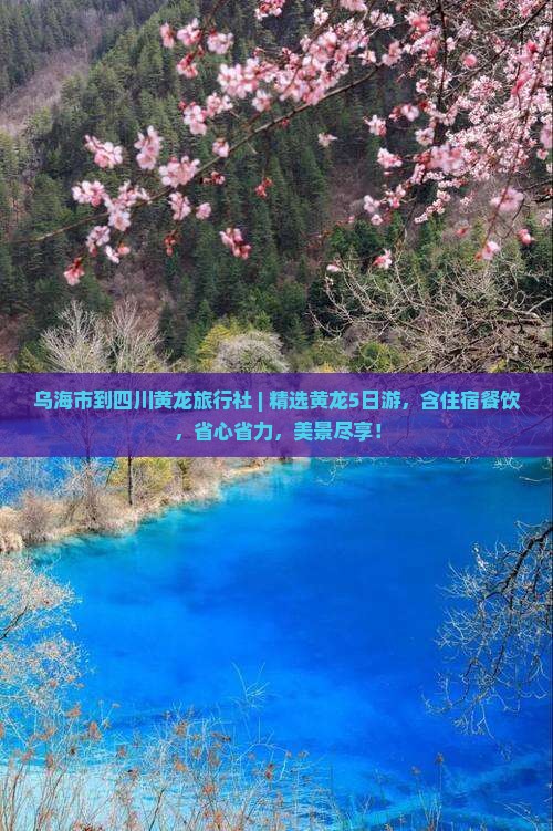乌海市到四川黄龙旅行社