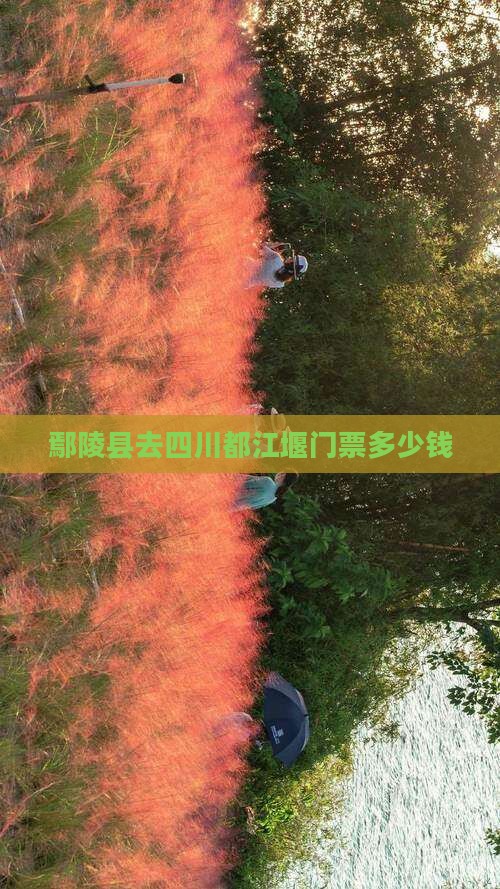 鄢陵县去四川都江堰门票
