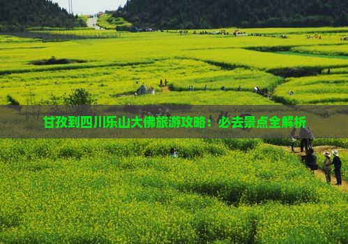 甘孜去四川乐山大佛必去地