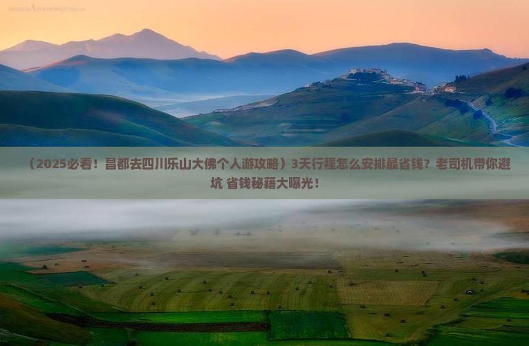 昌都去四川乐山大佛个人游