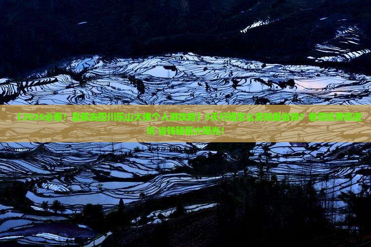 昌都去四川乐山大佛个人游