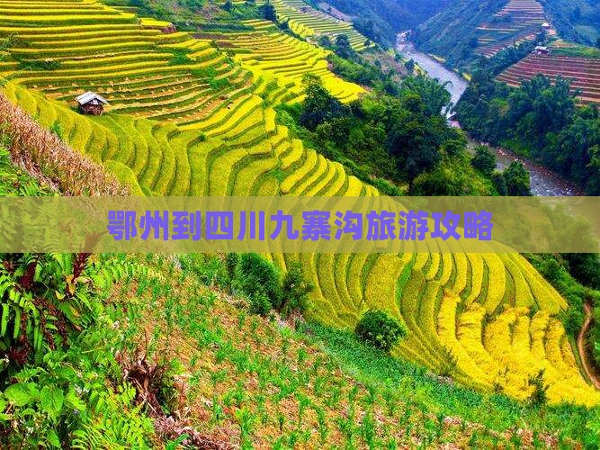 鄂州到四川九寨沟自由团 鄂州到四川九寨沟自由团