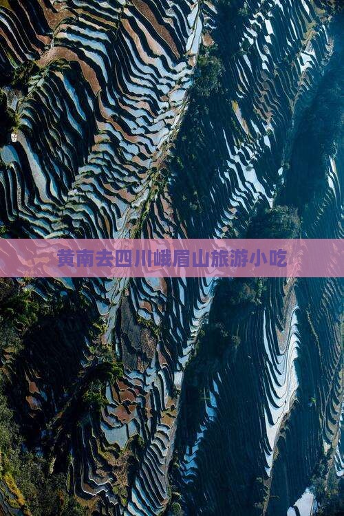 黄南去四川峨眉山旅游小吃 黄南去四川峨眉山旅游小吃