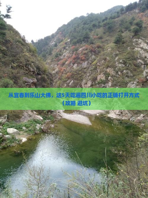 宜春去四川乐山大佛旅游小吃