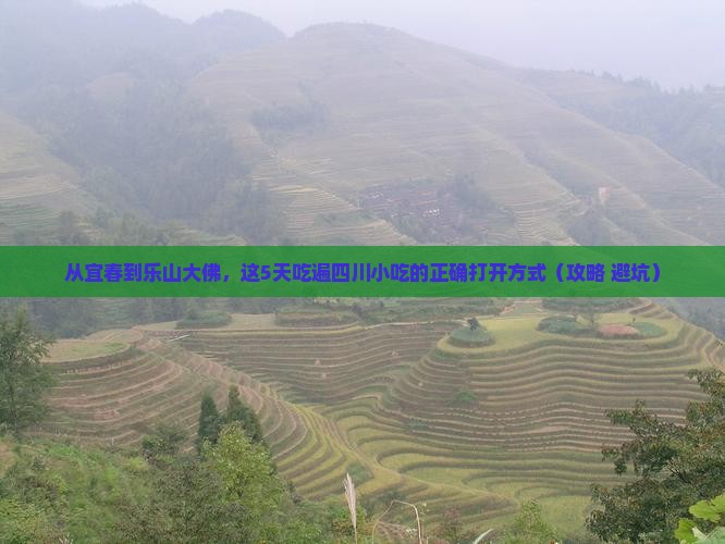 宜春去四川乐山大佛旅游小吃