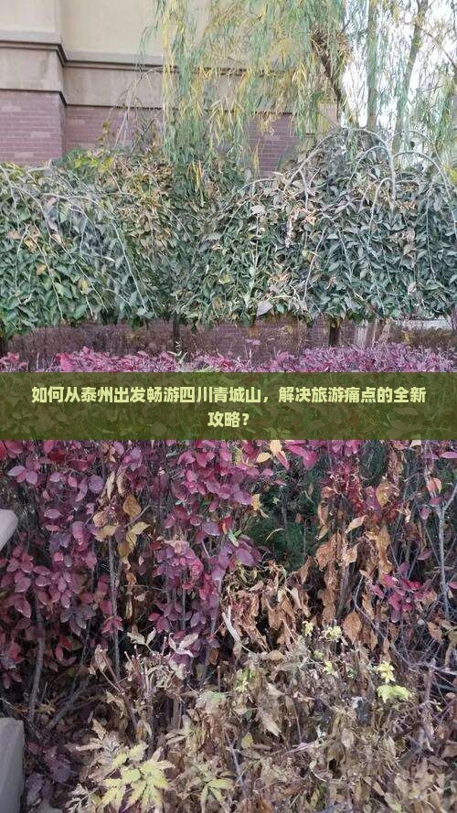 如何从泰州出发畅游四川青城山，解决旅游痛点的全新攻略？