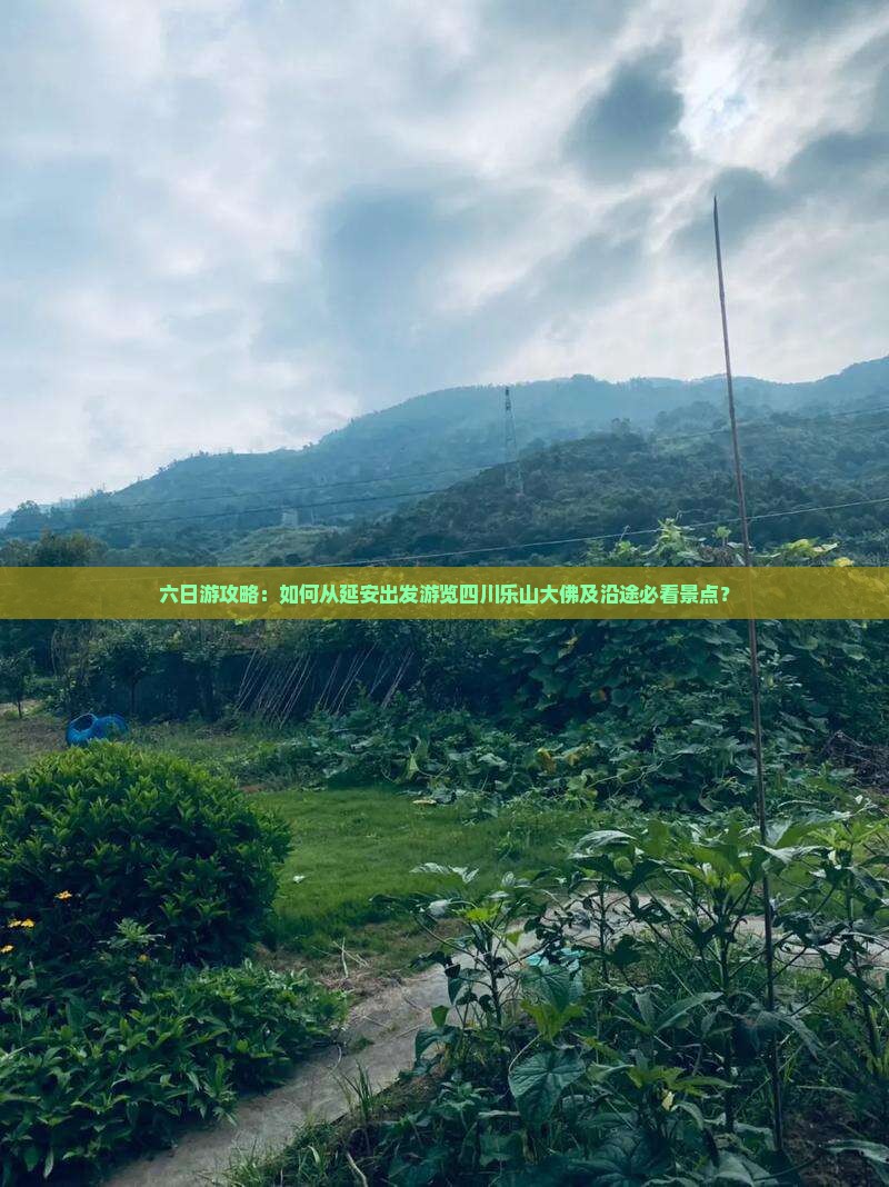 六日游攻略：如何从延安出发游览四川乐山大佛及沿途必看景点？
