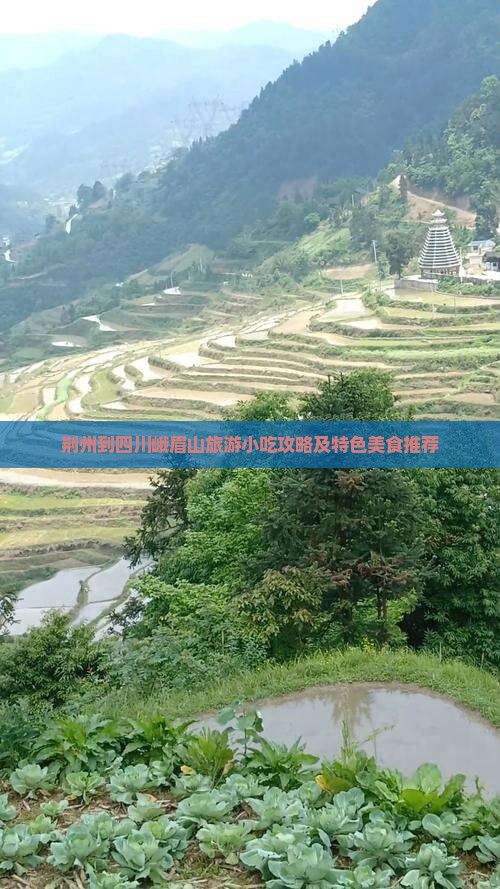 荆州到四川峨眉山旅游小吃攻略及特色美食推荐