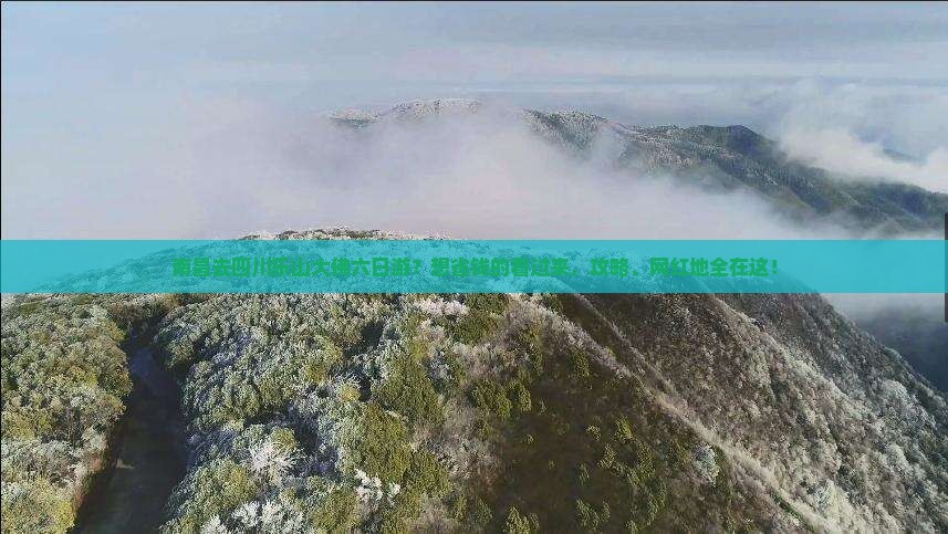 南昌去四川乐山大佛六日游？想省钱的看过来，攻略、网红地全在这！