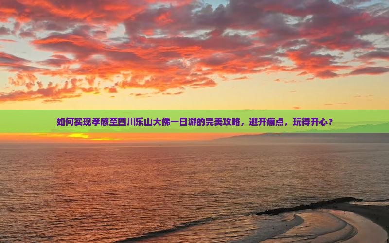 如何实现孝感至四川乐山大佛一日游的完美攻略，避开痛点，玩得开心？