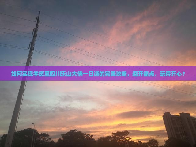 如何实现孝感至四川乐山大佛一日游的完美攻略，避开痛点，玩得开心？