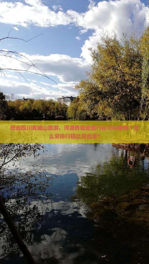 想去四川青城山旅游，河源有哪些旅行社可以推荐？怎么安排行程比较合适？