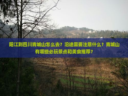 阳江到四川青城山怎么去？沿途需要注意什么？青城山有哪些必玩景点和美食推荐？