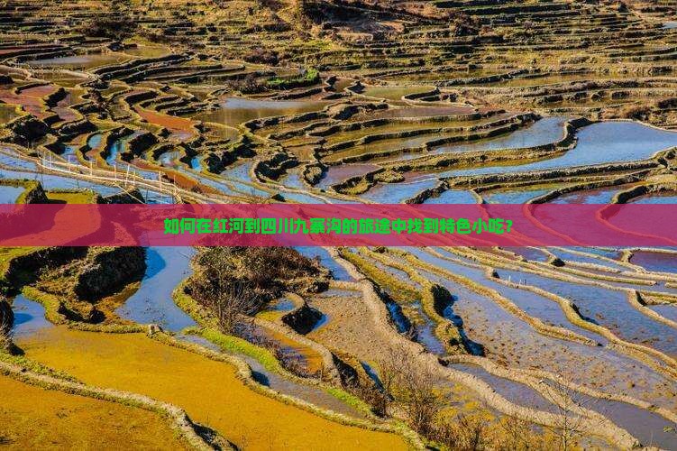 如何在红河到四川九寨沟的旅途中找到特色小吃？