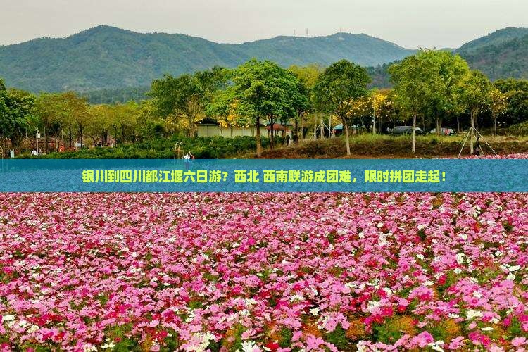 银川到四川都江堰六日游？西北+西南联游成团难，限时拼团走起！