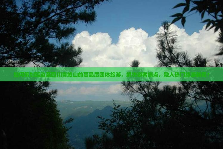 如何策划延边至四川青城山的高品质团体旅游，解决游客痛点，融入热门旅游新词？