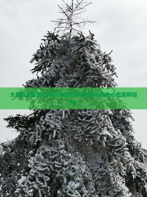 太原出发至四川九寨沟旅游攻略及当地特色小吃推荐指南