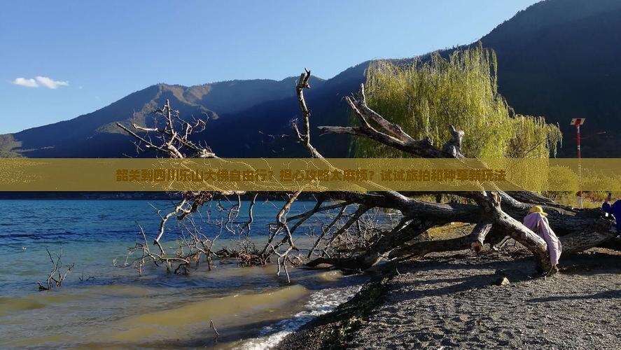 韶关到四川乐山大佛自由行？担心攻略太麻烦？试试旅拍和种草新玩法