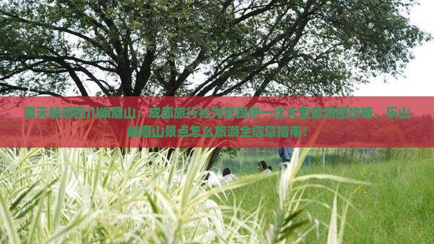 夏天畅游四川峨眉山：成都旅行社为您提供一次大型旅游团攻略，乐山峨眉山景点怎么旅游全信息指南！