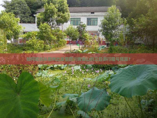 如何规划从衢州出发至四川青城山的三日游行程与预算？