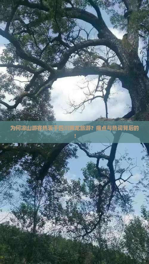为何凉山游客热衷于四川黄龙旅游？痛点与热词背后的！