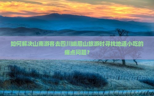 如何解决山南游客去四川峨眉山旅游时寻找地道小吃的痛点问题？