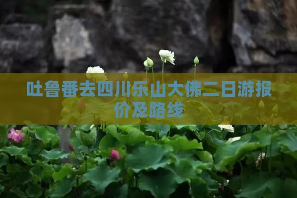 吐鲁番去四川乐山大佛二日游报价及路线