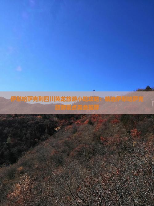 伊犁哈萨克到四川黄龙旅游小吃攻略：精选伊犁哈萨克旅游景点美食推荐