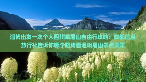淄博出发一次个人四川峨眉山自由行攻略：成都信息旅行社告诉你哪个路线看遍峨眉山景点美景