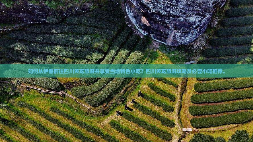 如何从伊春前往四川黄龙旅游并享受当地特色小吃?四川黄龙旅游攻略及必尝小吃推荐。 如何从伊春前往四川黄龙旅游并享受当地特色小吃?四川黄龙旅游攻略及必尝小吃推荐。