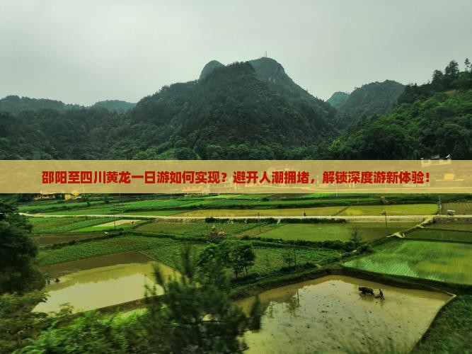 邵阳至四川黄龙一日游如何实现？避开人潮拥堵，解锁深度游新体验！