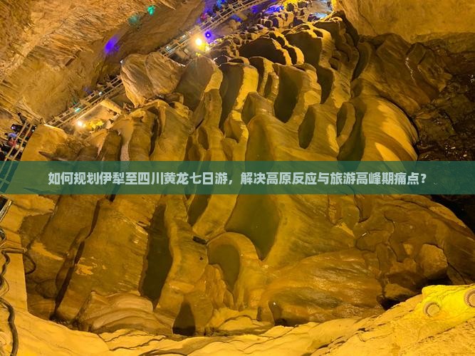 如何规划伊犁至四川黄龙七日游，解决高原反应与旅游高峰期痛点？