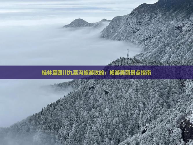 桂林至四川九寨沟旅游攻略：畅游美丽景点指南
