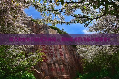 菏泽游客如何规避高峰期，顺利畅游四川都江堰美景？
