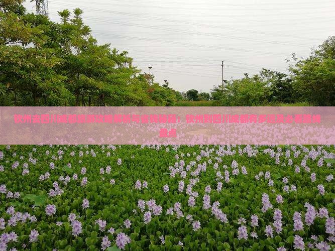 钦州去四川成都旅游