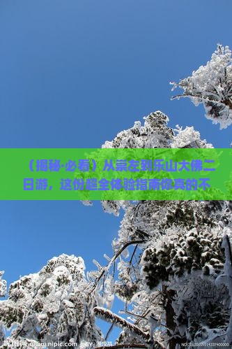 崇左到四川乐山大佛二日游 崇左到四川乐山大佛二日游