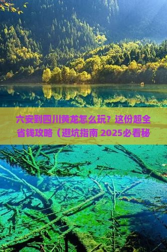 六安去四川黄龙攻略