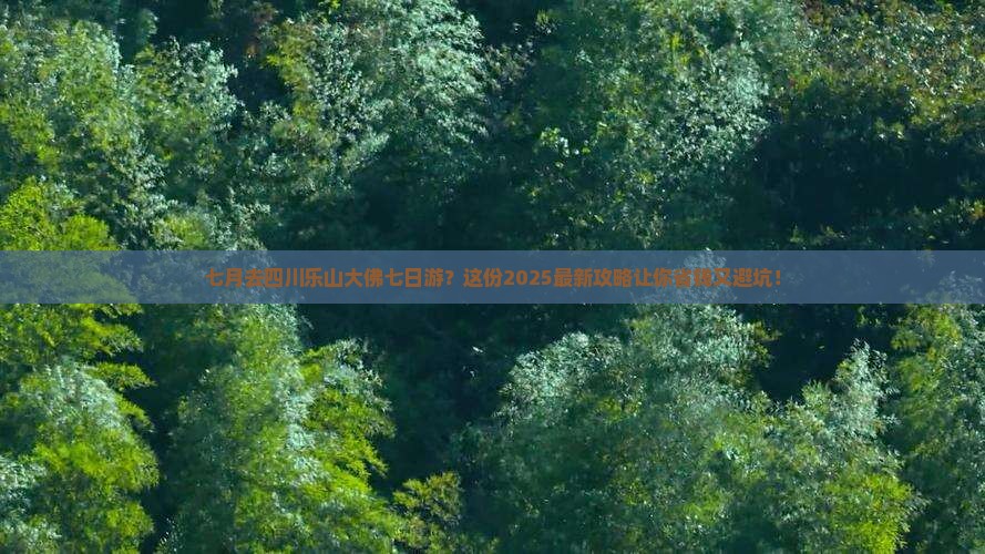 七月去四川乐山大佛七日游