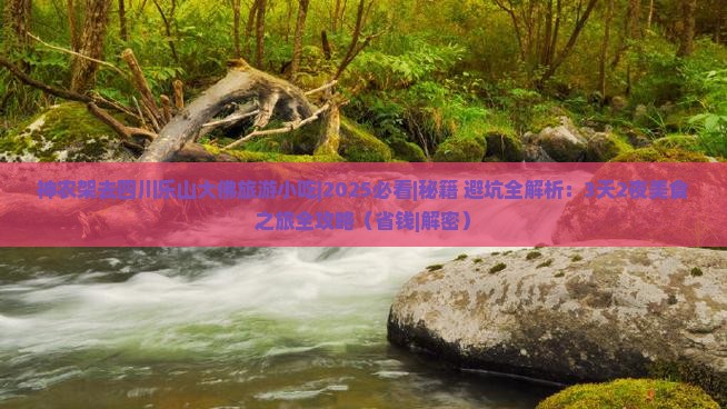 神农架去四川乐山大佛旅游小吃
