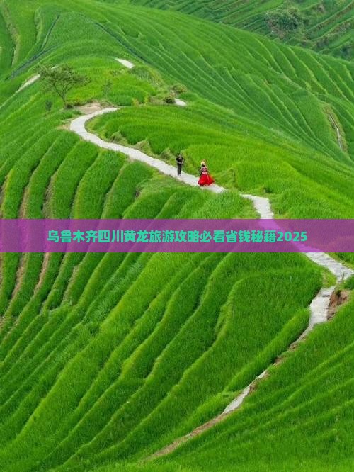 乌鲁木齐去四川黄龙自由团