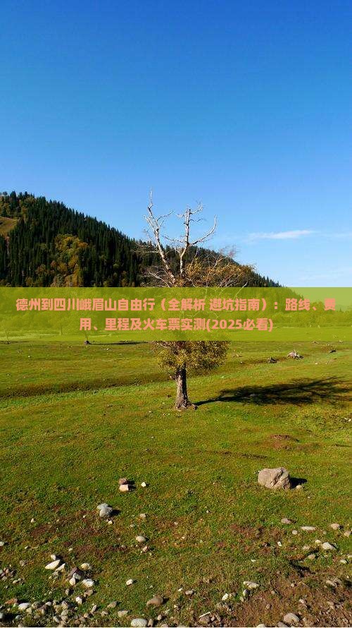 德州到四川峨眉山自由行