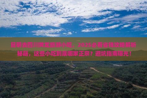 昆明去四川黄龙旅游小吃