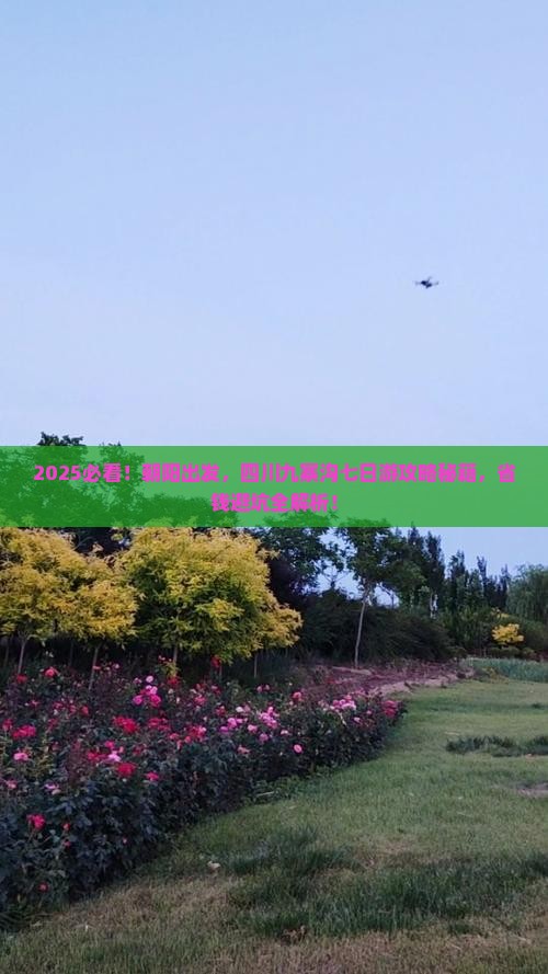 朝阳到四川九寨沟七日游