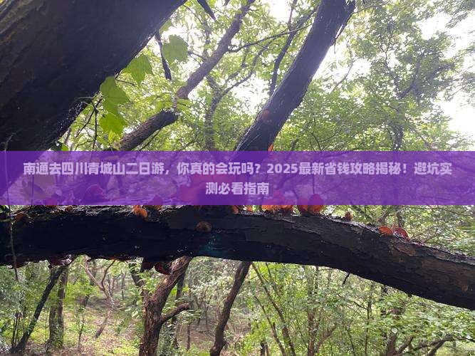 南通去四川青城山二日游