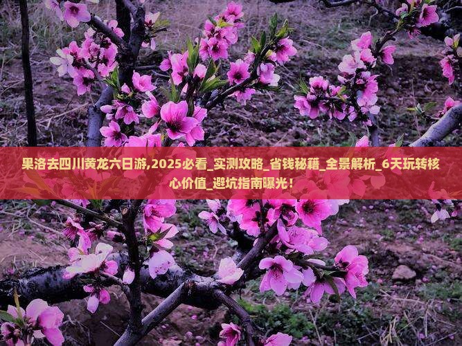果洛去四川黄龙六日游