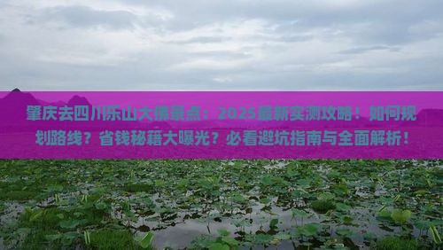 肇庆去四川乐山大佛景点