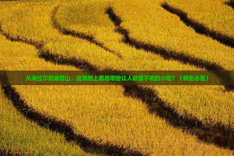 海拉尔到四川峨眉山旅游小吃