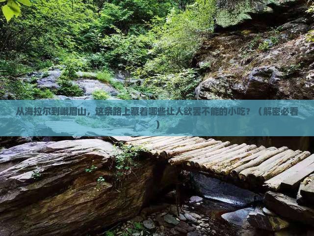 海拉尔到四川峨眉山旅游小吃