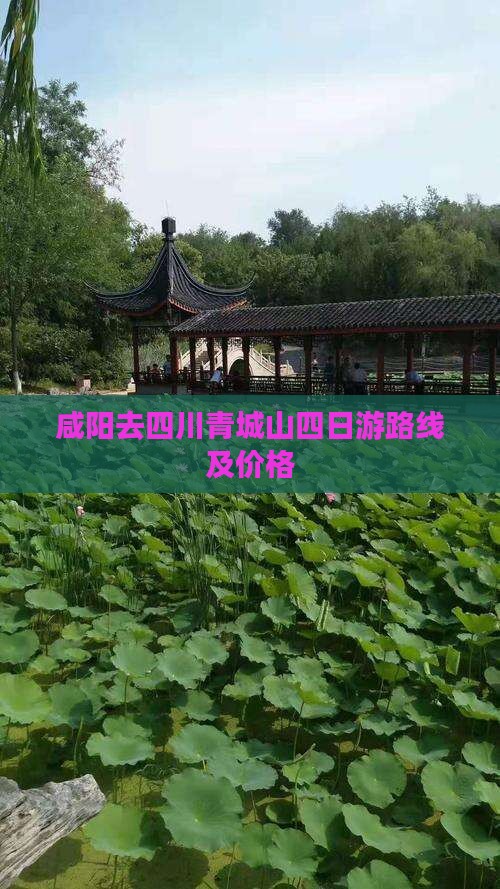 咸阳去四川青城山四日游
